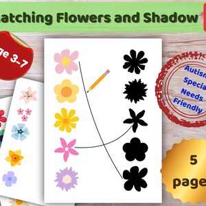 Może przedstawiać: Drukowalny arkusz edukacyjny zatytułowany Matching Flowers and Shadow, przedstawiający pięć kolorowych ilustracji kwiatów po lewej stronie i ich odpowiadające czarne sylwetki po prawej, połączone liniami narysowanymi ołówkiem.