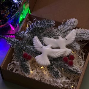 Home alone dove - Etsy 日本