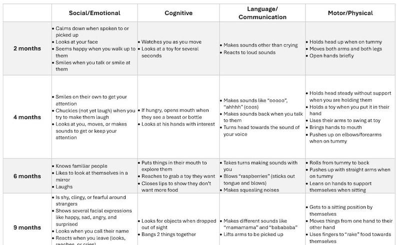 Developmental Milestones: Updated in 2022 by CDC and AAP - Etsy