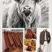 Tannery Treasures Team