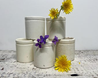 French Confit Pots: Rustic Farmhouse Crocks (Set of 5 Small)