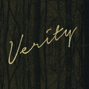 Verity Bookmark Digital Download | Colleen Hoover Inspired Bookmark ...