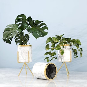 Puede incluir: Tres jardineras decorativas con plantas. Dos jardineras son de mármol blanco con ribetes dorados y soportes dorados de trípode. La tercera es un cilindro de mármol blanco con ribetes dorados.