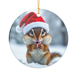 Chipmunk Christmas ornament