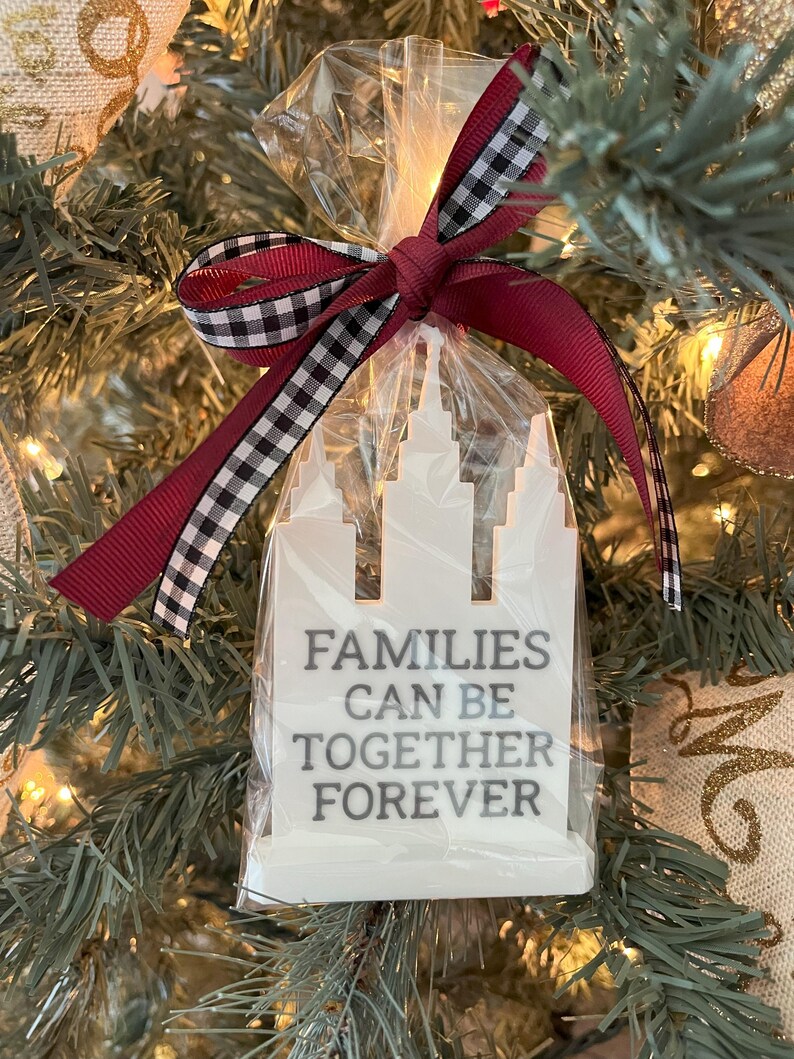 May include: A white wooden ornament in a clear cellophane bag, tied with a burgundy and black and white checkered ribbon. The ornament is shaped like a building with the text "FAMILIES CAN BE TOGETHER FOREVER" in gray.