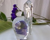 Vintage Baccarat Crystal Pelican Paperweight Signed