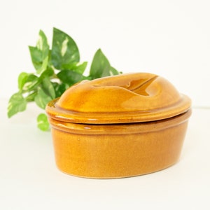 Könnte beinhalten: Eine braune Keramikschale mit Deckel. Die Schale ist oval geformt und hat eine glänzende Oberfläche.