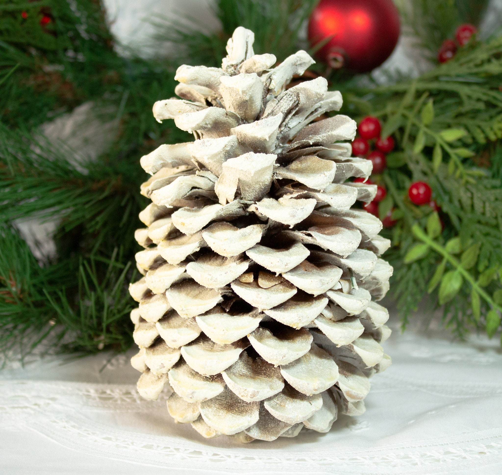 Casewin 18 Pieces Pine Cones for Christmas Tree White Christmas Pine Cones  Ornaments Pine Cones Decorations Frosted Mini Pine Cones Xmas Pinecones