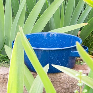 Peut inclure: Un pot bleu en émail avec des mouchetures blanches, sur fond de feuillage vert. Le pot a deux poignées et un large bord. Le pot est posé sur une surface en pierre.
