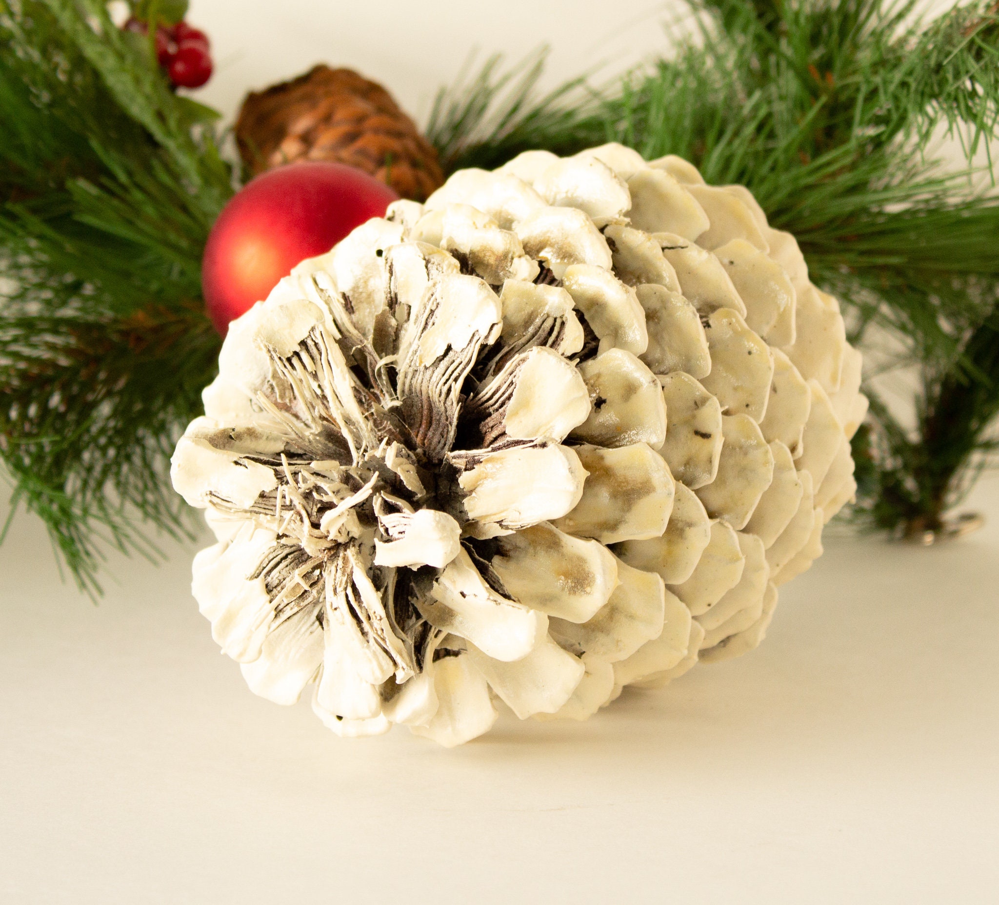 Large White Pinecone for Crafts Holiday Decor Ready to Hang 