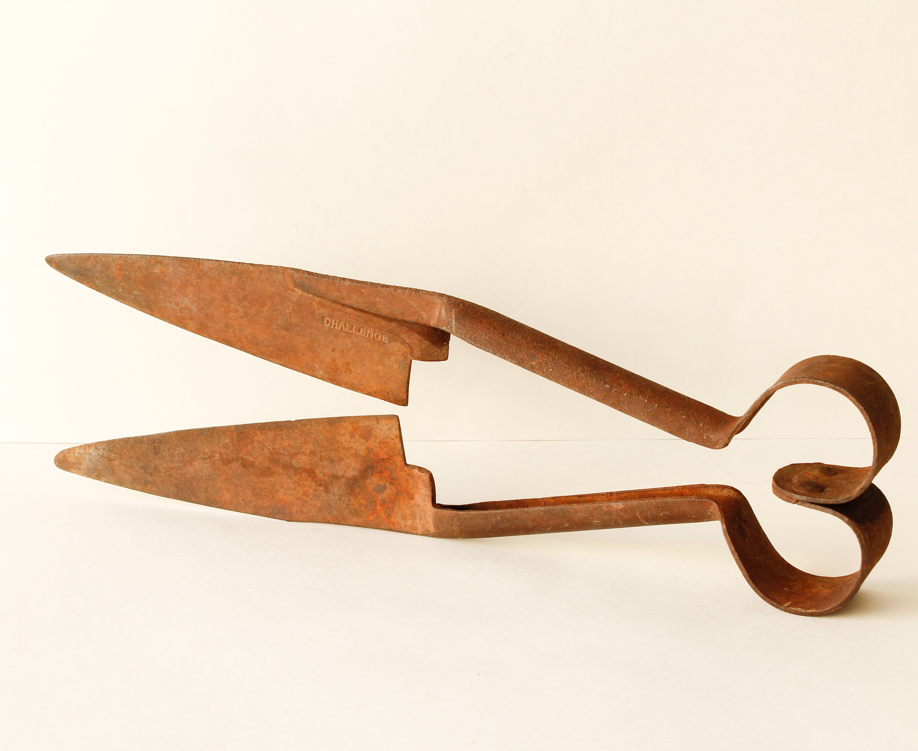 Lister Sheep Shears for sale Only 4 left at 60