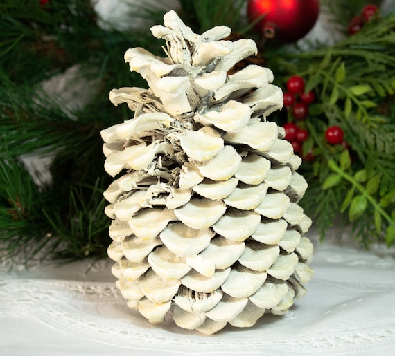 White Pinecone Holiday Decor Ready to Hang - Etsy