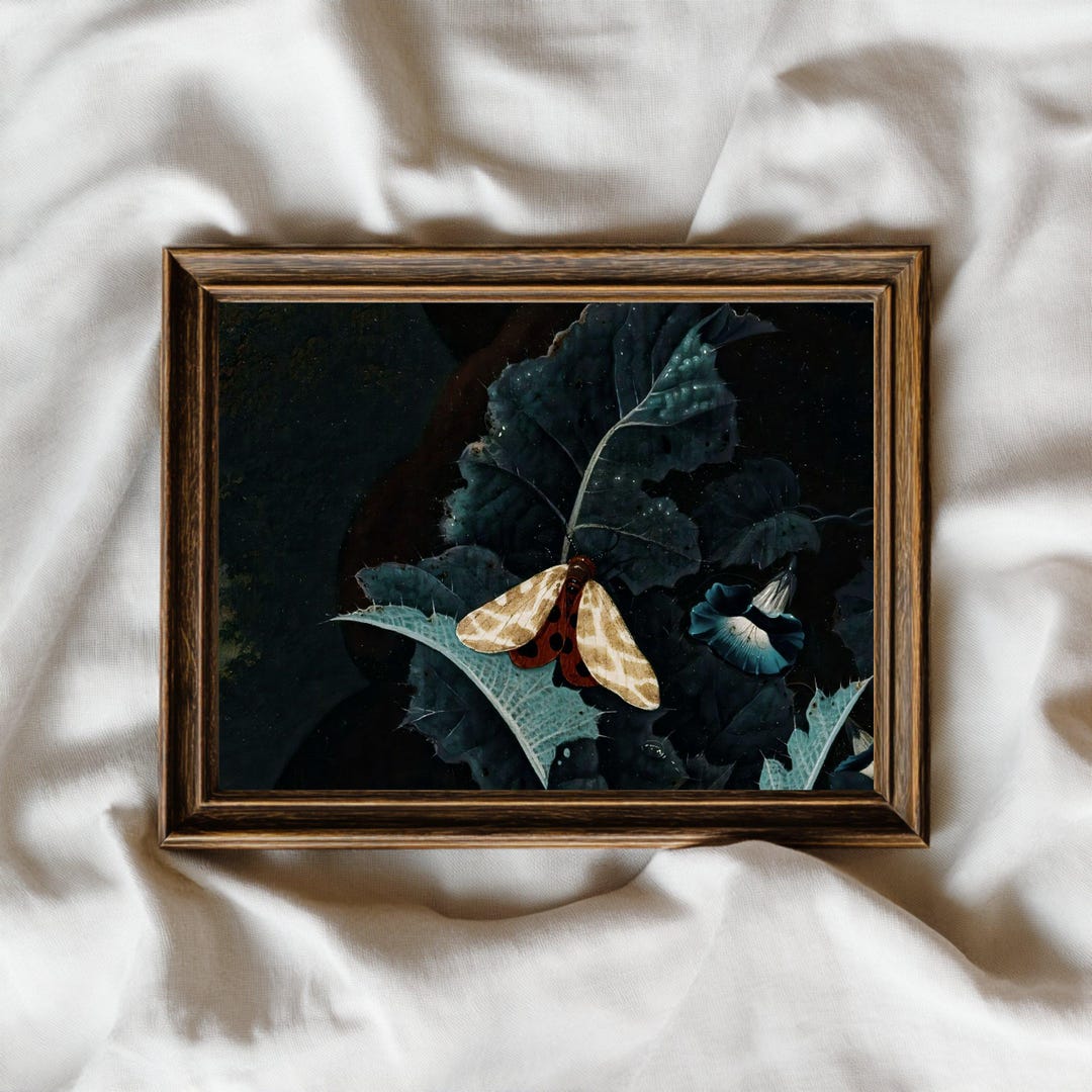 Moth Wall Art Print: Moody Nature Decor, Dark Academia Botanical Art - Etsy