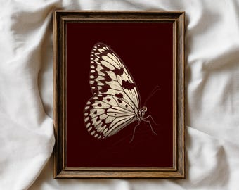 May include: A framed print featuring a detailed illustration of a butterfly with cream and brown patterned wings. The butterfly is set against a deep red background within a brown wooden frame. The artwork is a close-up view of the butterfly.