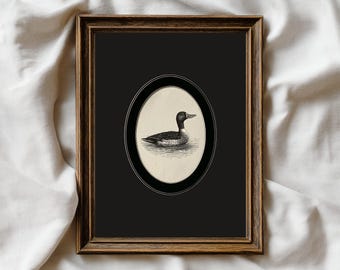 Vintage Loon Bird Print: Minimalist Farmhouse Wall Art (Digital Download