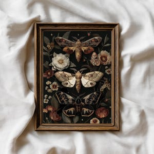 Vintage Moth Print – Dark Academia Insect Wall Art, Moody Floral Entomology Decor, Natural History Digital Download