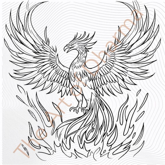 Phoenix Rising From Flames Drawing