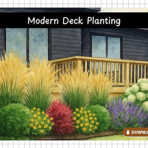 Modern Deck Planting Garden Design | Pre-Made Garden Plans | Landscape Design | Printable Garden Plans