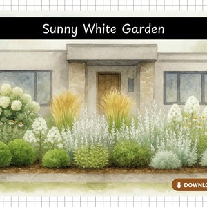Op de afbeelding: Waterverfillustratie van een modern huis met een tuin. De afbeelding toont een verscheidenheid aan planten in tinten groen, wit en geel. De tekst "Sunny White Garden" wordt bovenaan de afbeelding weergegeven.