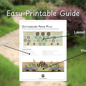 Cottage Garden Fence Plan: USDA Zone 6 Perennials (PDF Downloadable ...