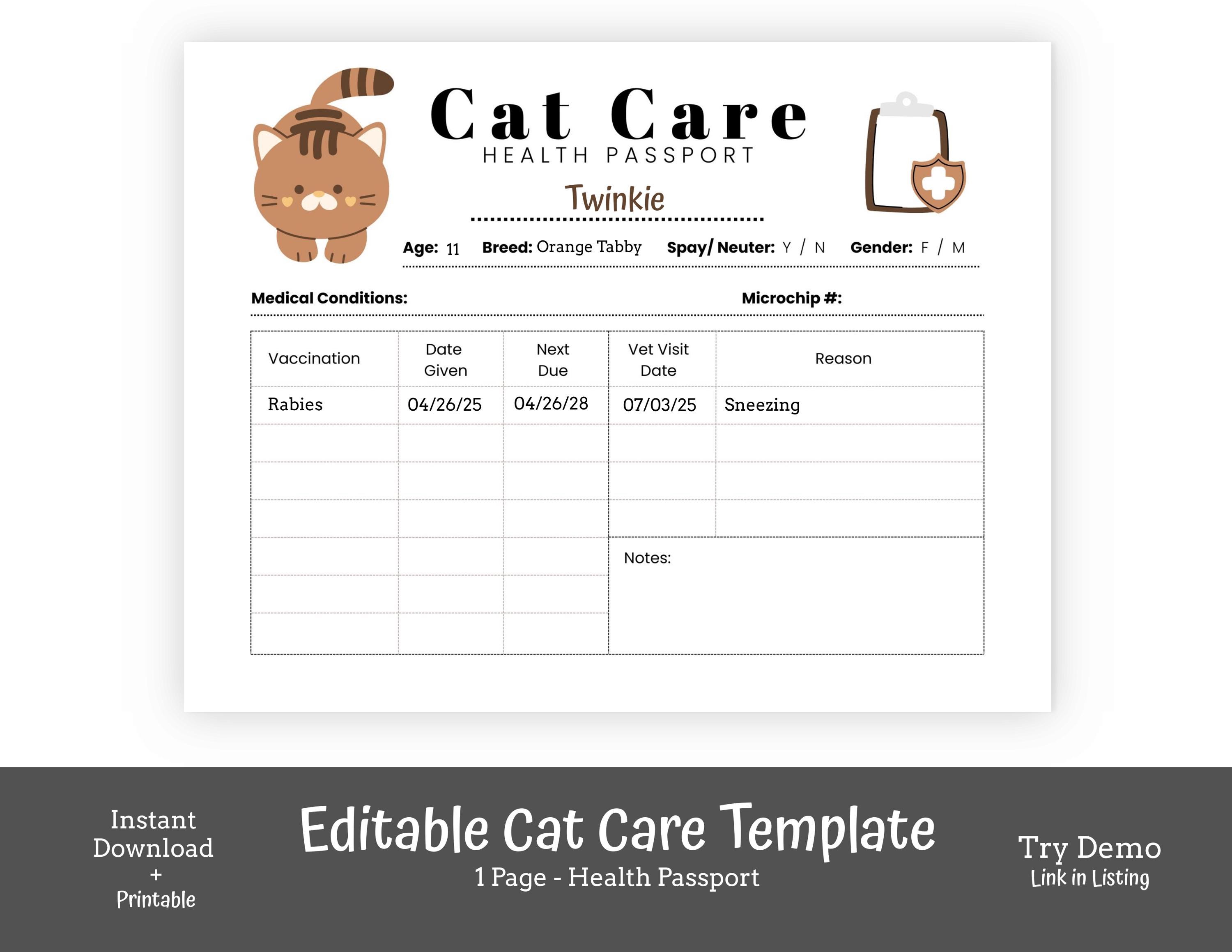 How Much is a Health Certificate for a Cat: Essential Cost Guide