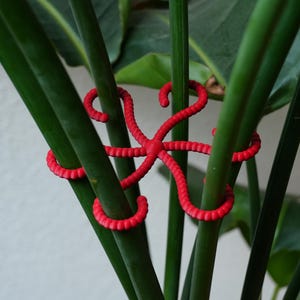 Op de afbeelding: Een felrode, getextureerde plantensteunclip met een stervormig ontwerp met meerdere armen. De flexibele, geribbelde armen zijn rond verschillende dunne, groene plantenstengels gewikkeld om ze in een rechtopstaande positie bij elkaar te houden.