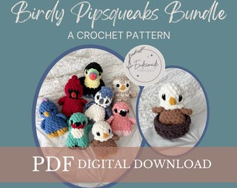 Crochet Birdy Pipsqueaks Pattern Bundle: Northern and Tropical Birds, Crochet Nest (PDF Pattern)