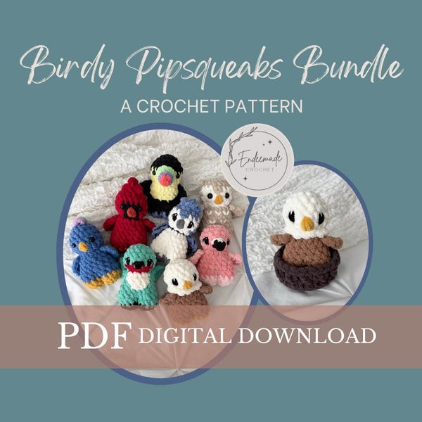 Crochet Birdy Pipsqueaks Pattern Bundle: Northern and Tropical Birds, Crochet Nest (PDF Pattern)