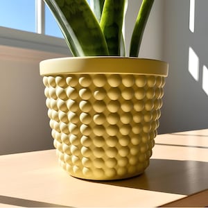 Puede incluir: Una maceta de cerámica amarilla con un diseño texturizado en forma de burbujas. La maceta contiene una planta verde con hojas largas y verticales. La maceta está sobre una superficie de madera de color claro, con luz solar entrando por una ventana.