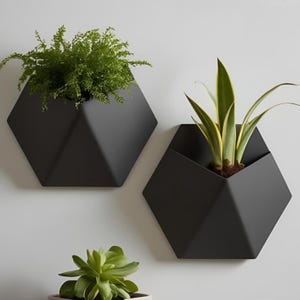 Può includere: Due fioriere da parete geometriche nere, ciascuna con vegetazione. Una contiene una pianta simile a una felce, l'altra una pianta con foglie bordate di giallo. Le fioriere sono montate su un muro bianco.