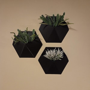 Op de afbeelding: Drie zwarte, geometrische wandplantenbakken, elk met kunstgroen. De zeshoekige plantenbakken zijn aan een beige muur bevestigd. De planten omvatten stekelige groene vetplanten en een veervormige, lichtgroene plant.