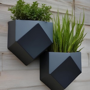 Könnte beinhalten: Zwei geometrische, dunkelgraue Wandpflanzgefäße mit grünen Pflanzen. Die Pflanzgefäße haben ein modernes, eckiges Design und sind an einer hellen Holzwand befestigt. Einer enthält grünes Blattwerk, der andere lange, schmale grüne Blätter.