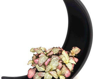 Maceta lunar moderna – Decoración minimalista negra | Decoración de media luna | Impresión 3D | Hecho a mano | Regalo para amantes de las plantas