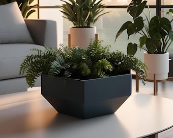 Maceta hexagonal moderna | Maceta geométrica 3D | Decoración Japandi minimalista | Hecha en Alemania