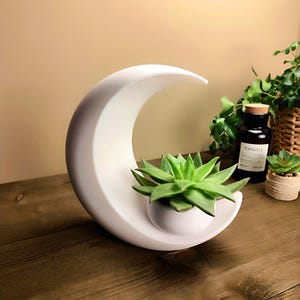 Peut inclure: Un pot de fleur en forme de croissant de lune en céramique blanche contenant une plante succulente verte. Le pot est posé sur une surface en bois. Une petite bougie et d'autres plantes sont en arrière-plan.
