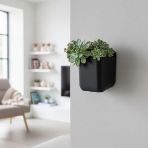 Puede incluir: Un macetero negro montado en la pared, lleno de suculentas verdes. El macetero cuadrado tiene esquinas redondeadas y está fijado a una pared blanca. El fondo muestra un salón con una ventana, una silla y estanterías.