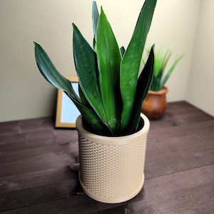 Retro rottingkruka | Modern bohemisk och japansk stil | 3D-tryckt blomkruka | Hemtillbehör | Presentidé