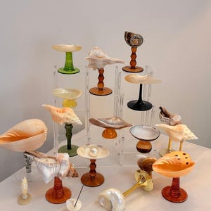 Handmade Seashell Martini Glasses: Unique Beach Party Decorations, Bridesmaid Favors
