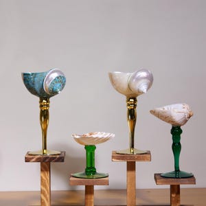 May include: A collection of decorative seashell goblets and a small dish. The goblets feature gold-colored stems and are mounted on wooden pedestals. The shells are in shades of blue, white, and cream. The dish has a green stem.
