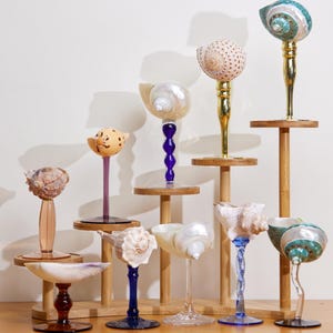 May include: A collection of decorative seashell goblets displayed on wooden stands. The goblets feature various seashell designs, with stems in colors like gold, blue, and purple. The arrangement is set against a neutral background.