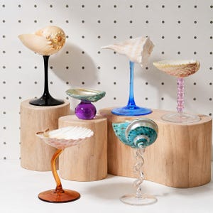 Puede incluir: Seis copas decorativas con conchas marinas naturales como cuencos sobre distintos tallos de vidrio. Los soportes incluyen una base negra, una esfera morada, un pie azul, una columna de cuentas rosa, un cuello ámbar curvo y vidrio retorcido.