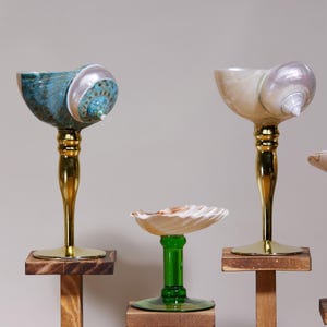 May include: Seashell goblets with gold stems and wooden bases. One goblet has a teal shell, another a pearlescent shell, and a third has a white and orange shell. The goblets are displayed on a light gray background.