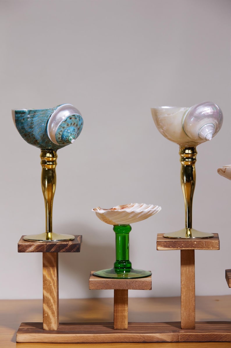 May include: Seashell goblets with gold stems and wooden bases. One goblet has a teal shell, another a pearlescent shell, and a third has a white and orange shell. The goblets are displayed on a light gray background.