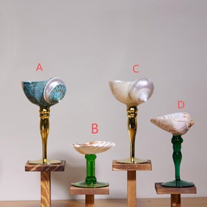 May include: Four decorative seashell goblets. The goblets have gold and green stems, and are mounted on small wooden platforms. The shells are various colors, including blue, white, and cream.