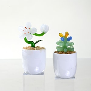 Mini Glass Cactus Pots Set:Fused Glass Succulents,Car Decoration Set , Miniature Figurines