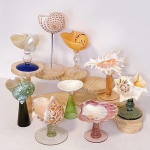 Peut inclure: Une collection de gobelets décoratifs en coquillages. Les gobelets présentent divers coquillages fixés à des tiges et des bases en verre. Les coquillages sont dans des tons de blanc, beige, orange et rose. Certains gobelets ont des bases en bois.