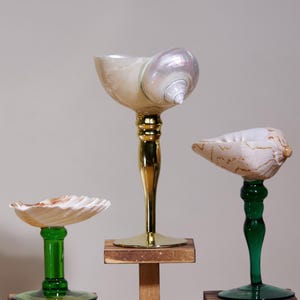 May include: Three decorative seashell art pieces. One features a large, pearlescent shell atop a gold-colored stem. Another has a shell on a green glass stem. The third has a shell on a green glass stem.
