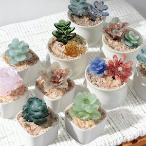 Puede incluir: Una colección de pequeñas plantas suculentas decorativas en macetas cuadradas blancas. Las suculentas de vidrio vienen en varios colores, incluyendo verde, azul, rosa y naranja, y están colocadas en un lecho de pequeñas piedras. Las macetas están dispuestas sobre una superficie de madera.
