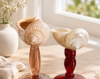 Handgemaakte martiniglazen schelp, natuurlijke schelpwijnglazen, decor voor strandbruiloft, gunsten voor bruidsmeisjes. Gif van vrijgezellenfeest
