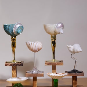 Puede incluir: Una colección de vasos decorativos y pequeños cuencos, cada uno elaborado con conchas marinas. Los vasos presentan tallos dorados y bases de madera. Las conchas son de varios colores, incluyendo blanco, azul y beige, creando una exhibición única.